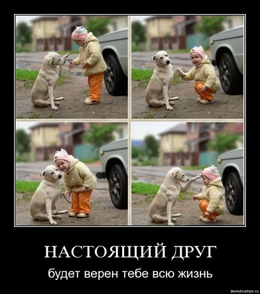 http://cs11098.vkontakte.ru/u13609126/133803817/x_de841bf3.jpg